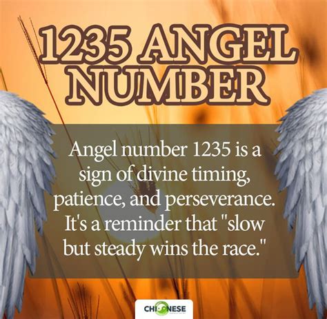 1235 Angel Number Meaning (Fully Explained)